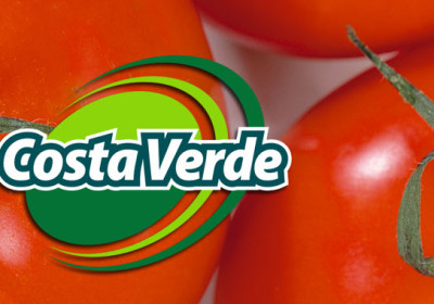 presenta-home-tomateok
